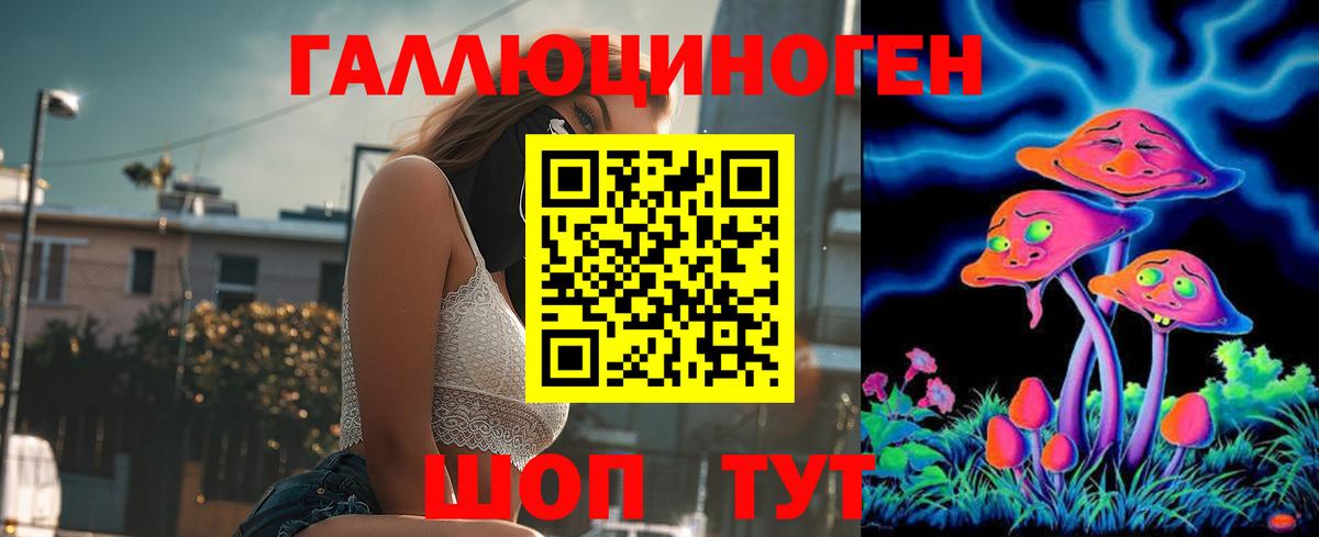 Егорьевск  Галлюциногенные грибы Cubensis  Вход с VPN 